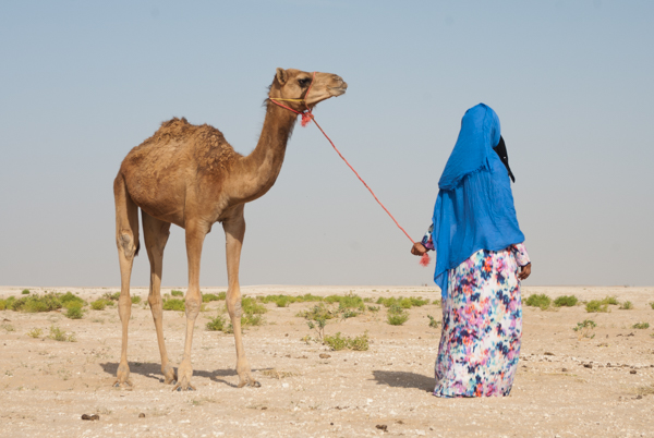 Holding camel for branding