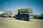 Alfalfa bales for feeding camels