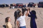 Bottle-feeding an orphaned camel