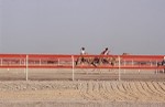Camel races at Seeb during National Day celebrations