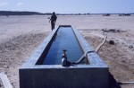 Camel water trough