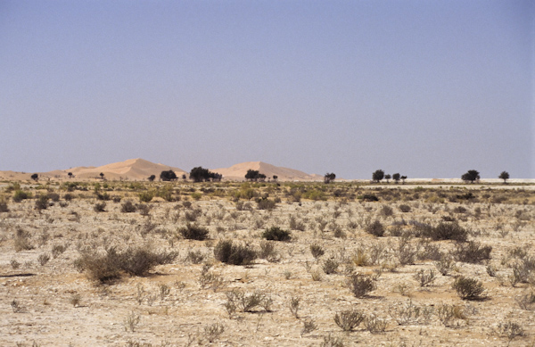 Dunes in Sahma