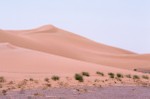 Dunes oat Haylat il Harashiif
