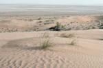 Dunes of Sahma