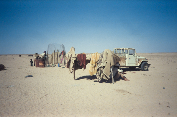 Fenced shelter and blankets drying