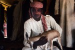 Gazelle with broken leg being cared for