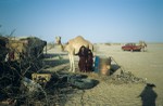 Girls and camel