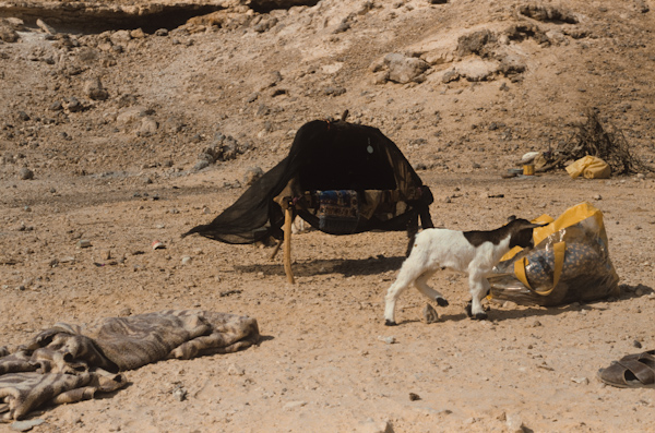Household camp in Wadi Haytam