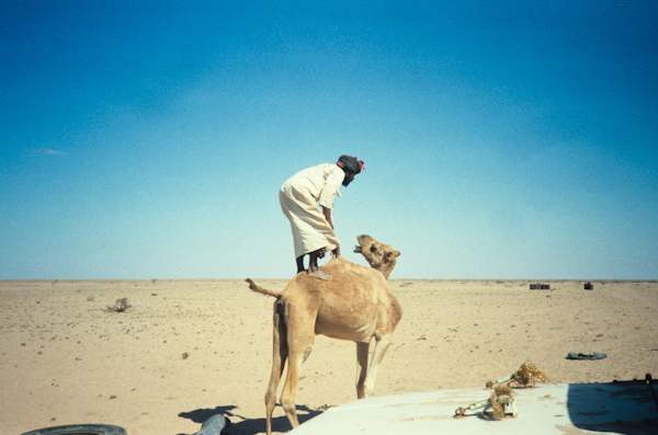 Jumping on a camel's back