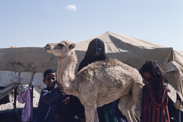 Mahra mother and children with young camel