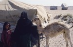 Mahra mother and girl with young camel