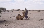 Man with camel at Wadi Thayfut