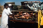 Men prepare wedding feast/camel's meat