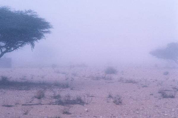 Morning fog near Yalooni