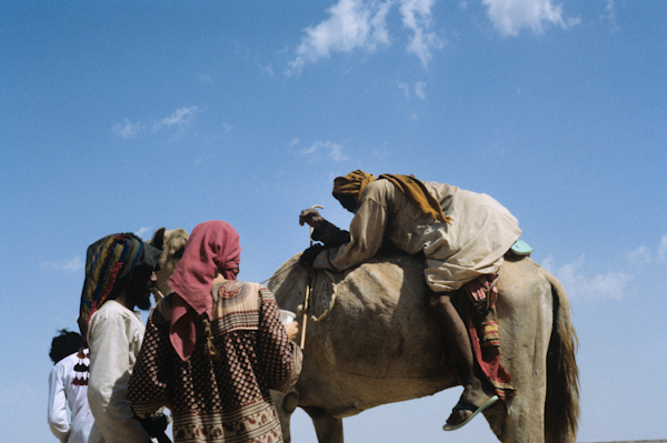Mounting a camel