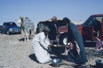 Preparing a "dhabaha" meal (goat)