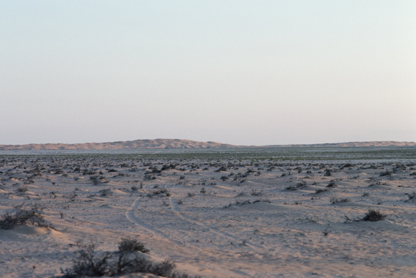 Sahma landscape