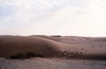 Sand dunes of Sahma