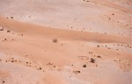 Sands of the Empty Quarter