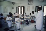Seventh year medical students talking to primary school students