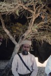 Tree shelter at Wadi Faysr