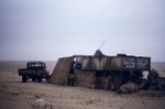Truck used as a camel shelter