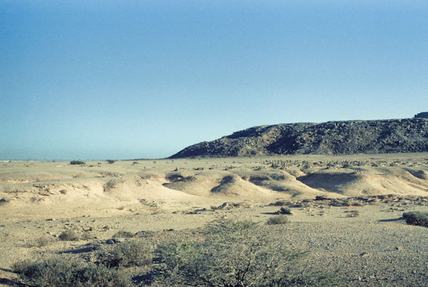 View west in the Wadi