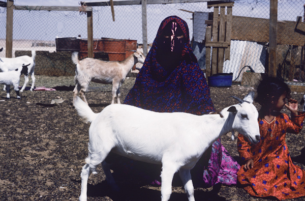 Woman and girl with their goats