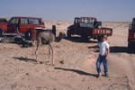 Young boy admiring orphaned camel