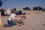 Young boy admiring orphaned camel