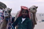 Young Harasiis boy with camels