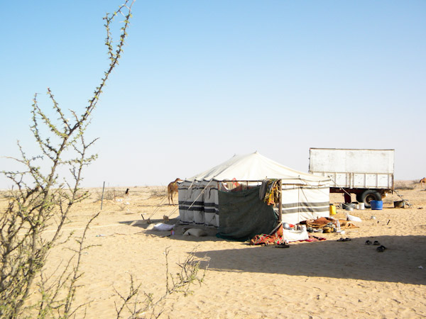 Modern temporary campsite