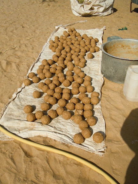 'Saboos' moist  camel feed balls