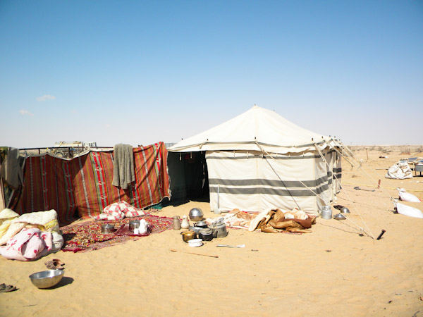 Modern temporary camel camp